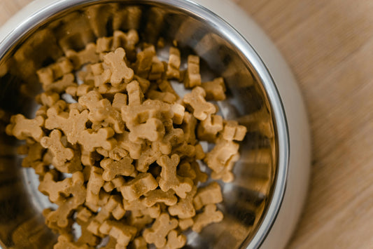 Alimento gourmet para perros